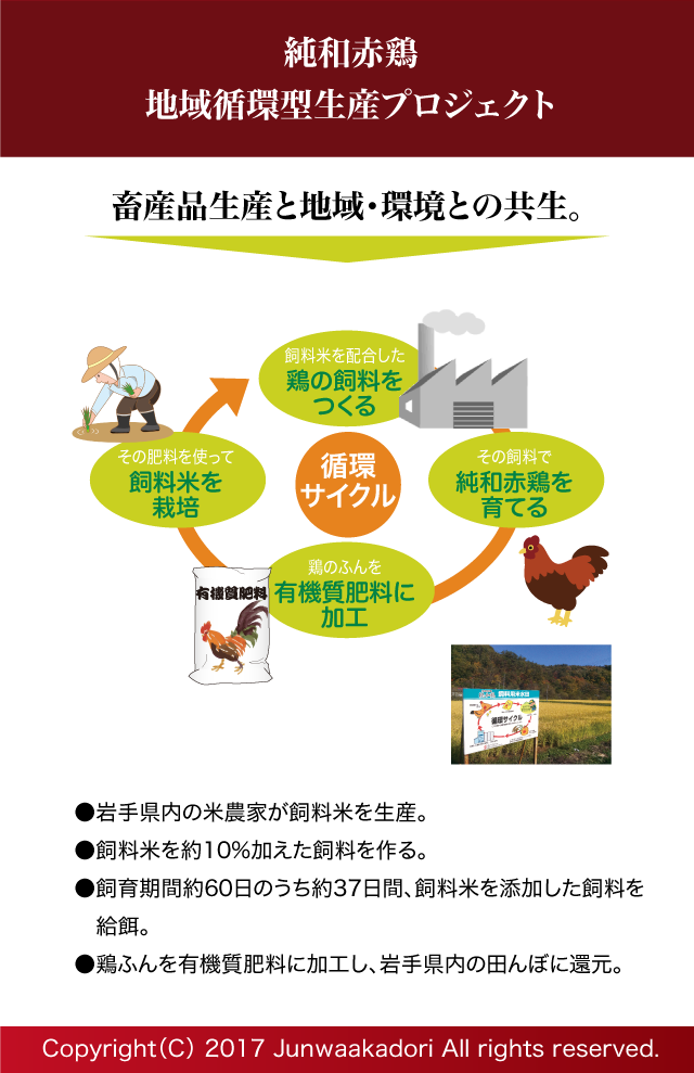 『純和赤鶏』地域循環型生産プロジェクト